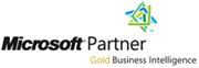 Microsoft Partner